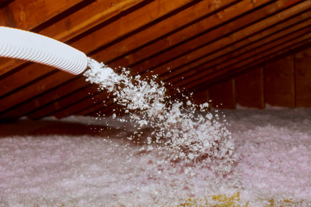 Best Blown-in Insulation in Westfield, IN