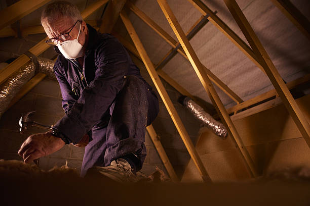 Types of Insulation We Offer in Westfield, IN