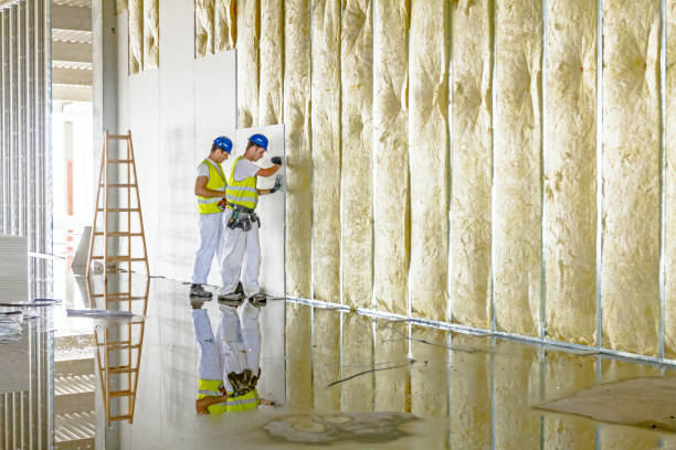 Best Cellulose Insulation in Westfield, IN